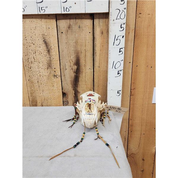 Navajo Decorated Grizzly Bear Skull Taxidermy