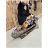 Image 10 : XL Noah's Ark 6 Critters In A Birch Bark Canoe Taxidermy