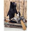 Image 5 : XL Noah's Ark 6 Critters In A Birch Bark Canoe Taxidermy