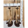 Image 1 : Pair Of Ostrich Feet Desk Lamps Taxidermy