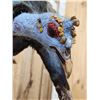 Image 7 : Oscellated Hen Turkey In Flight Bird Taxidermy
