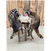 Image 3 : 4 Raccoons Playing Poker Taxidermy Mount