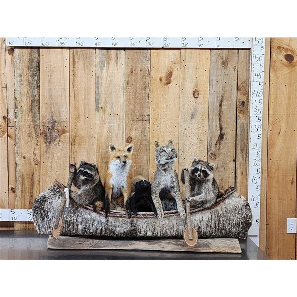 Noah's Ark 5 Critters In A Birch Bark Canoe Taxidermy