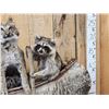 Image 5 : Noah's Ark 5 Critters In A Birch Bark Canoe Taxidermy