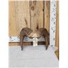 Image 1 : Bighorn Sheep Horns On Skull Plate