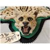 Image 3 : African Serval Cat Rug Taxidermy