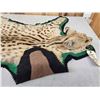 Image 5 : African Serval Cat Rug Taxidermy