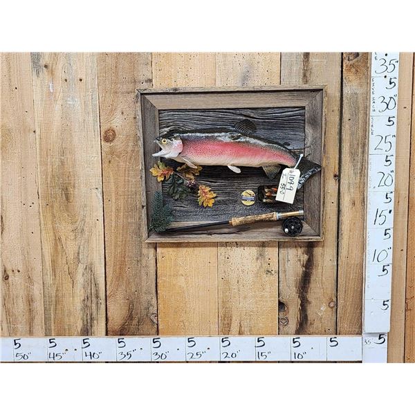 22" Rainbow Trout Real Skin Fish Taxidermy
