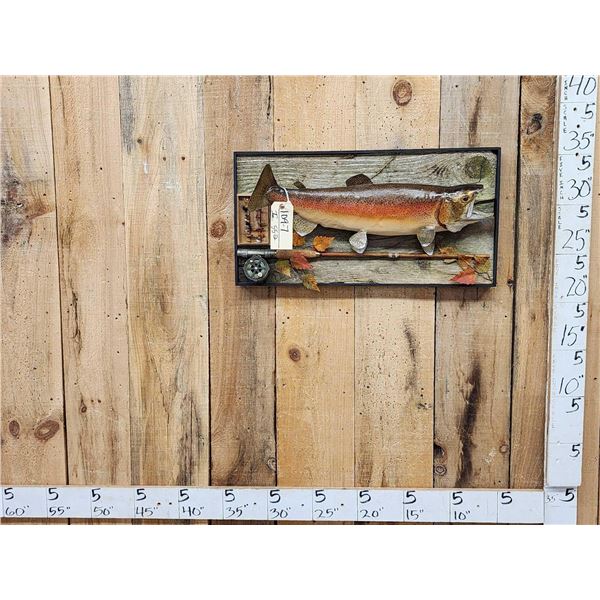 25" Rainbow Trout Real Skin Fish Taxidermy