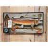 Image 2 : 25" Rainbow Trout Real Skin Fish Taxidermy