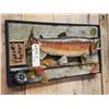 Image 4 : 25" Rainbow Trout Real Skin Fish Taxidermy