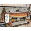 Image 5 : 25" Rainbow Trout Real Skin Fish Taxidermy