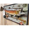 Image 7 : 25" Rainbow Trout Real Skin Fish Taxidermy
