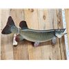 Image 4 : 38" Northern Pike Real Skin Fish Taxidermy