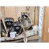Image 5 : Family Of Raccoons Fishing In A Birch Bark Canoe