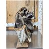 Image 6 : Family Of Raccoons Fishing In A Birch Bark Canoe