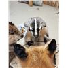 Image 10 : 4 Critters Playing Poker Taxidermy Mount