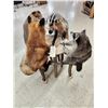 Image 4 : 4 Critters Playing Poker Taxidermy Mount
