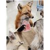 Image 7 : 4 Critters Playing Poker Taxidermy Mount