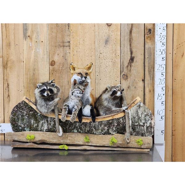 Noah's Ark 4 Critters In A Birch Bark Canoe Taxidermy