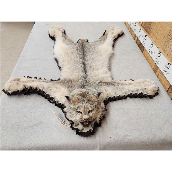 Extra Nice Alaskan Lynx Rug Taxidermy