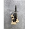 Image 2 : Iver Johnson American Bull Dog 32 Rimfire Revolver