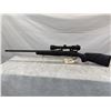 Image 1 : Remington 700 300 Win Mag Bolt Action Rifle