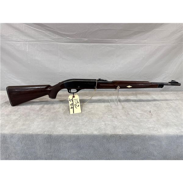 Remington Nylon 66 22 LR