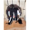 Image 1 : Native American Style Black Bear Skin Ceremonial Dance Shield