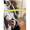 Image 3 : Native American Style Black Bear Skin Ceremonial Dance Shield