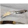 Image 7 : Buck #110 & Damascus Lock Blade Knives