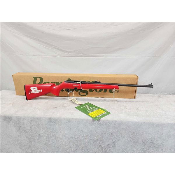 Remington Model 597 .22 Semi Auto Rifle Dale Earnhardt Jr Limited Edition