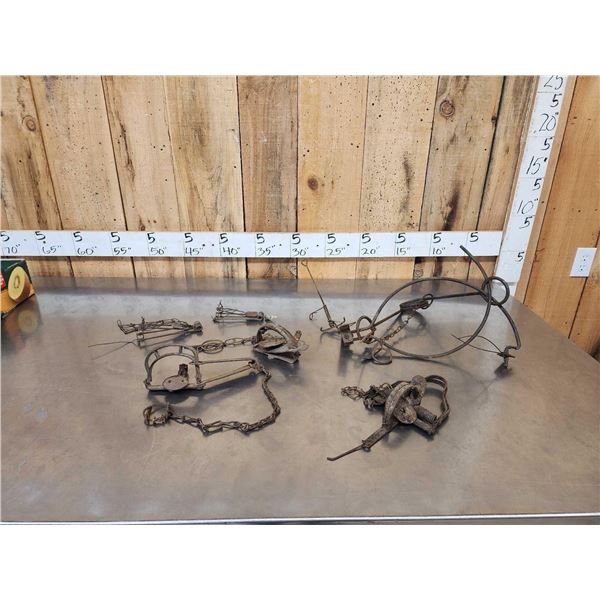Group Of 7 Vintage Animal Trap