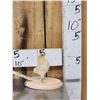 Image 1 : Baby Chicken Full Body Bird Taxidermy