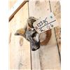 Image 3 : Red Fox Head Taxidermy Mount