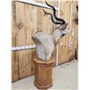 Image 8 : African Kudu Pedestal Taxidermy Mount