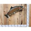 Image 1 : 32" Salmon Fish Taxidermy