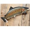 Image 2 : 32" Salmon Fish Taxidermy