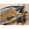 Image 3 : 32" Salmon Fish Taxidermy