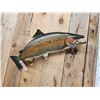 Image 4 : 32" Salmon Fish Taxidermy