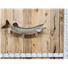 Image 1 : 37" Muskie Real Skin Fish Taxidermy