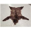 Image 2 : Juvenile Black Bear Tanned Fur Taxidermy