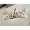 Image 4 : Tanned Giraffe Skin Taxidermy