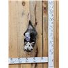 Image 1 : Naughty Opossum Full Body Taxidermy Mount