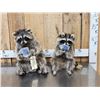 Image 2 : 2 Raccoons Playing Cards Full Body Taxidermy Mount
