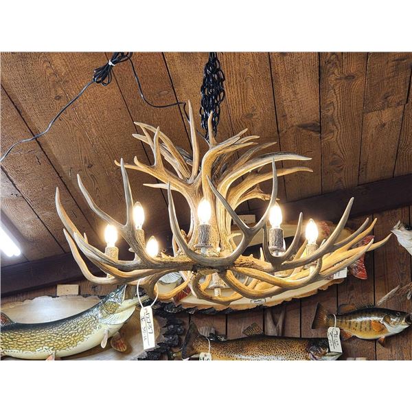Gorgeous 8 Light Mule Deer Antler Chandelier