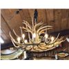 Image 1 : Gorgeous 8 Light Mule Deer Antler Chandelier