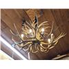 Image 2 : Gorgeous 8 Light Mule Deer Antler Chandelier