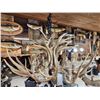 Image 5 : Gorgeous 8 Light Mule Deer Antler Chandelier