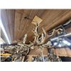 Image 10 : Gorgeous 6 Light Fallow Deer Antler Chandelier